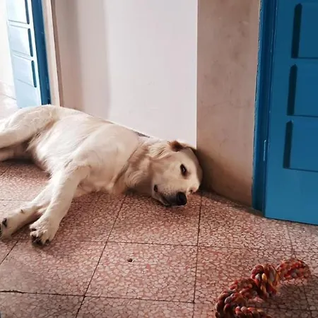 Via Cappuccini Апартаменты *